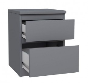 2.03.03.050.4 КАСТОР тумба 2 ящика RU серая в Кудымкаре - kudymkar.ok-mebel.com | фото 2