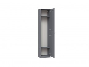 2.06.01.020.4 МАКС шкаф 1 дверь 50х38х233 серый RU в Кудымкаре - kudymkar.ok-mebel.com | фото 2