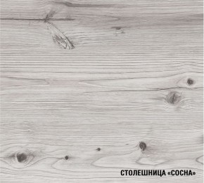 АСАЯ Кухонный гарнитур Экстра 2 (3000 мм) ПМ в Кудымкаре - kudymkar.ok-mebel.com | фото 8