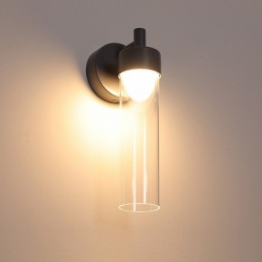 Бра Favourite Outdoor 4703-1W в Кудымкаре - kudymkar.ok-mebel.com | фото 4