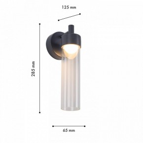 Бра Favourite Outdoor 4703-1W в Кудымкаре - kudymkar.ok-mebel.com | фото 6