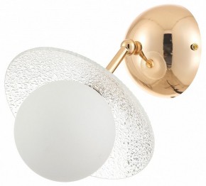 Бра Rivoli Jacqueline Б0066444 в Кудымкаре - kudymkar.ok-mebel.com | фото