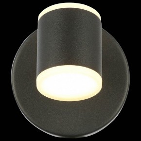 Бра ST-Luce Formolla SL1597.401.01 в Кудымкаре - kudymkar.ok-mebel.com | фото 5