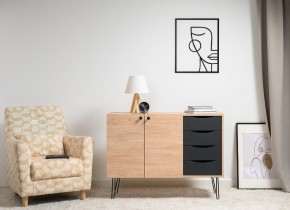 БРЮС Комод 16.233 в Кудымкаре - kudymkar.ok-mebel.com | фото 2