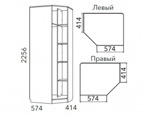 Детская Фанк Шкаф угловой Левый/Правый НМ 013.04-02 М в Кудымкаре - kudymkar.ok-mebel.com | фото 3