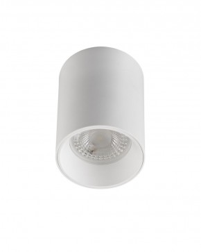 DK3110-WH Светильник накладной IP 20, 10 Вт, GU5.3, LED, белый, пластик в Кудымкаре - kudymkar.ok-mebel.com | фото