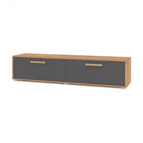 ФЛОРИДА Ф31 Тумба ТВ (дуб золотой/графит) в Кудымкаре - kudymkar.ok-mebel.com | фото
