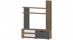 КАРОЛИНА Гостиная в Кудымкаре - kudymkar.ok-mebel.com | фото 5