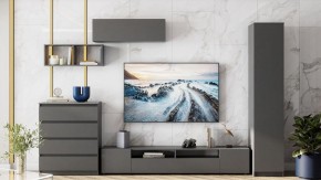 Комод Сибити в Кудымкаре - kudymkar.ok-mebel.com | фото 5