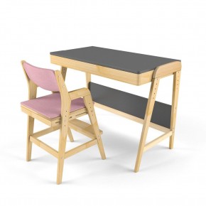 Комплект растущий стол и стул с чехлом 38 попугаев «Вуди» (Серый, Береза, Розовый) в Кудымкаре - kudymkar.ok-mebel.com | фото