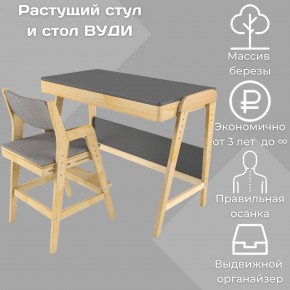 Комплект растущий стол и стул с чехлом 38 попугаев «Вуди» (Серый, Без покрытия, Серый) в Кудымкаре - kudymkar.ok-mebel.com | фото