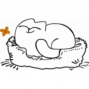 Кровать двухуровневая Кот № 900.1 ПРАВАЯ (туя светлая/белый) в Кудымкаре - kudymkar.ok-mebel.com | фото 2