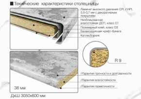 Кухонный фартук со столешницей (А-014) в едином стиле (3050 мм) в Кудымкаре - kudymkar.ok-mebel.com | фото 7