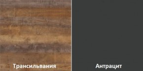 Кухонный гарнитур угловой Трансильвания 2600х1600 мм (Стол. 38 мм) в Кудымкаре - kudymkar.ok-mebel.com | фото 3
