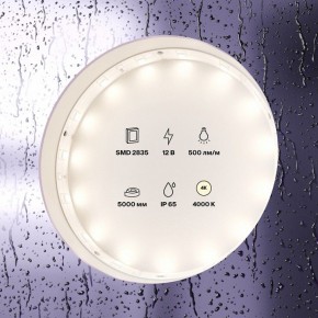 Лента светодиодная Maytoni Led strip 10106 в Кудымкаре - kudymkar.ok-mebel.com | фото 3
