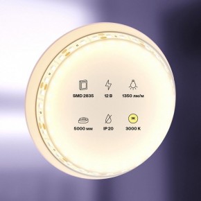 Лента светодиодная Maytoni Led strip 10114 в Кудымкаре - kudymkar.ok-mebel.com | фото 2