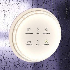 Лента светодиодная Maytoni Led strip 10118 в Кудымкаре - kudymkar.ok-mebel.com | фото 2