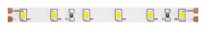 Лента светодиодная Maytoni Led strip 10140 в Кудымкаре - kudymkar.ok-mebel.com | фото
