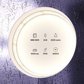 Лента светодиодная Maytoni Led strip 10158 в Кудымкаре - kudymkar.ok-mebel.com | фото 2