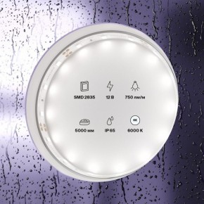 Лента светодиодная Maytoni Led strip 20006 в Кудымкаре - kudymkar.ok-mebel.com | фото 2