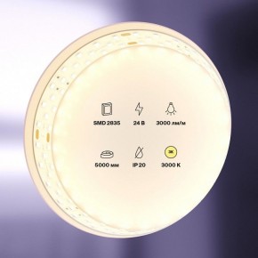 Лента светодиодная Maytoni Led strip 20031 в Кудымкаре - kudymkar.ok-mebel.com | фото 2