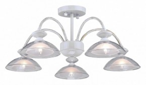 Люстра на штанге Arti Lampadari Noventa Noventa E 1.1.5 W в Кудымкаре - kudymkar.ok-mebel.com | фото