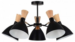 Люстра на штанге EVOLUCE VISTA SLE1256-402-05 в Кудымкаре - kudymkar.ok-mebel.com | фото