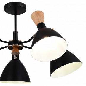 Люстра на штанге EVOLUCE VISTA SLE1256-402-05 в Кудымкаре - kudymkar.ok-mebel.com | фото 10