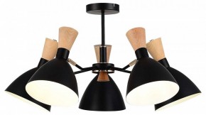 Люстра на штанге EVOLUCE VISTA SLE1256-402-05 в Кудымкаре - kudymkar.ok-mebel.com | фото 2