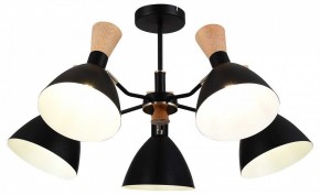 Люстра на штанге EVOLUCE VISTA SLE1256-402-05 в Кудымкаре - kudymkar.ok-mebel.com | фото 6