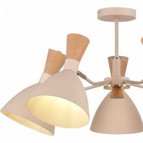 Люстра на штанге EVOLUCE VISTA SLE1256-502-05 в Кудымкаре - kudymkar.ok-mebel.com | фото 10