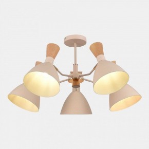 Люстра на штанге EVOLUCE VISTA SLE1256-502-05 в Кудымкаре - kudymkar.ok-mebel.com | фото 5