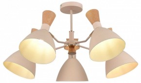 Люстра на штанге EVOLUCE VISTA SLE1256-502-05 в Кудымкаре - kudymkar.ok-mebel.com | фото 6
