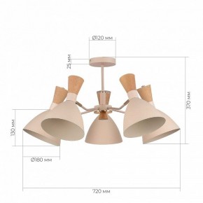 Люстра на штанге EVOLUCE VISTA SLE1256-502-05 в Кудымкаре - kudymkar.ok-mebel.com | фото 8