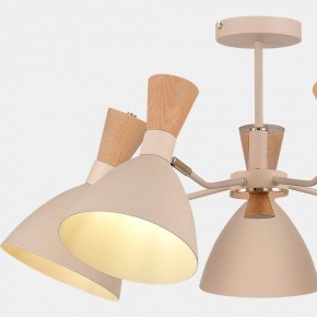 Люстра на штанге EVOLUCE VISTA SLE1256-502-05 в Кудымкаре - kudymkar.ok-mebel.com | фото 9