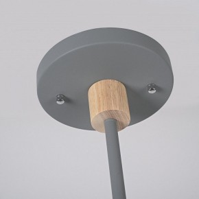 Люстра на штанге Imperiumloft TURNA Gray TURNA-DBL01 в Кудымкаре - kudymkar.ok-mebel.com | фото 9