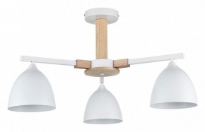 Люстра на штанге Lumion Colange 8095/3C в Кудымкаре - kudymkar.ok-mebel.com | фото