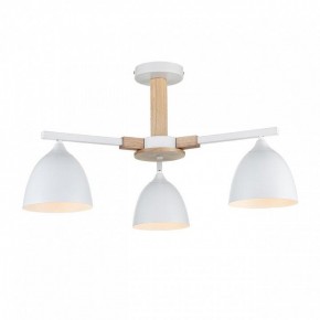 Люстра на штанге Lumion Colange 8095/3C в Кудымкаре - kudymkar.ok-mebel.com | фото 2
