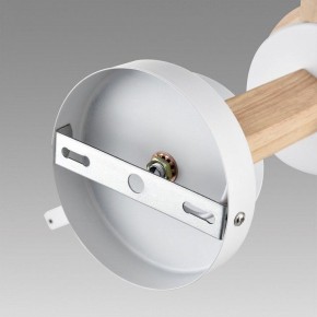 Люстра на штанге Lumion Colange 8095/3C в Кудымкаре - kudymkar.ok-mebel.com | фото 6