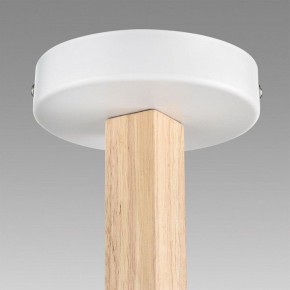 Люстра на штанге Lumion Colange 8095/3C в Кудымкаре - kudymkar.ok-mebel.com | фото 9