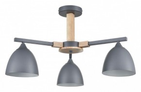 Люстра на штанге Lumion Colange 8096/3C в Кудымкаре - kudymkar.ok-mebel.com | фото