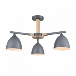 Люстра на штанге Lumion Colange 8096/3C в Кудымкаре - kudymkar.ok-mebel.com | фото 2