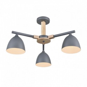 Люстра на штанге Lumion Colange 8096/3C в Кудымкаре - kudymkar.ok-mebel.com | фото 3