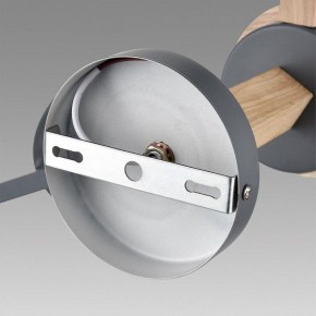 Люстра на штанге Lumion Colange 8096/3C в Кудымкаре - kudymkar.ok-mebel.com | фото 6