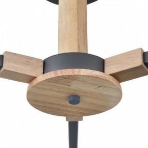 Люстра на штанге Lumion Colange 8096/3C в Кудымкаре - kudymkar.ok-mebel.com | фото 7