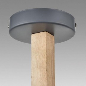 Люстра на штанге Lumion Colange 8096/3C в Кудымкаре - kudymkar.ok-mebel.com | фото 9