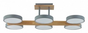 Люстра на штанге Lumion Plato 8031/108CL в Кудымкаре - kudymkar.ok-mebel.com | фото