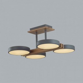 Люстра на штанге Lumion Plato 8031/72CL в Кудымкаре - kudymkar.ok-mebel.com | фото 6