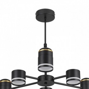 Люстра на штанге Lumion Virsava 8234/6C в Кудымкаре - kudymkar.ok-mebel.com | фото 5