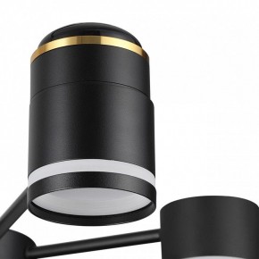 Люстра на штанге Lumion Virsava 8234/6C в Кудымкаре - kudymkar.ok-mebel.com | фото 8
